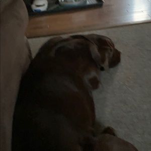 Meet your Posher, Vanessa